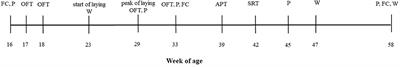 Psychological and Physiological Stress in Hens With Bone Damage